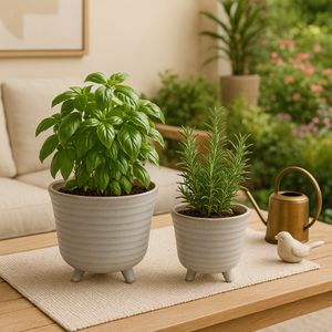REXDALE SET OF 2 IVORY PLANTER 6 (IN) 11