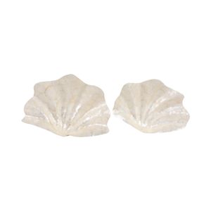 DALTONWELL SET OF 2 IVORY BOWLS 7 (IN) 7