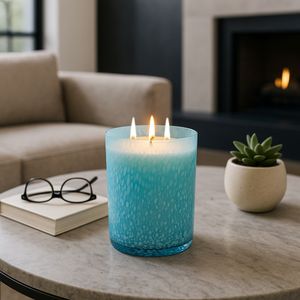 DAXTONWORTH SAGE & SEA SALT CANDLE 9 (IN) 12