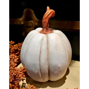 Blossom Pumpkin 6x5x7in 2