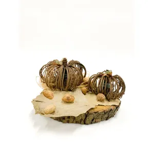 Natural Pumpkin Mix 2