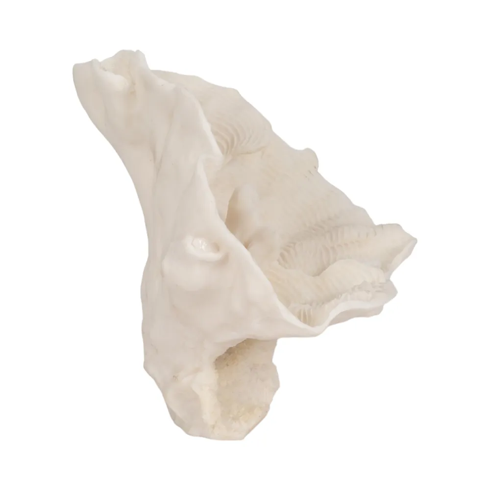BRENDANSHAW IVORY DECOR 12 (IN)