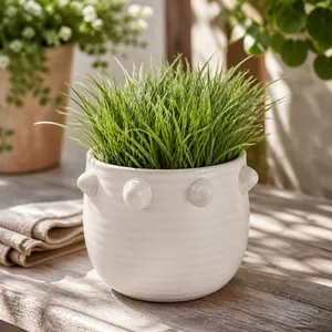 DEVONMOOR WHITE PLANTER 7 (IN) 11