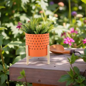 MORTONVALE ORANGE PLANTER 11 (IN) 6