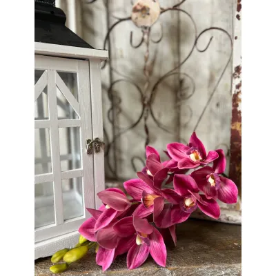 Pink Cymbidium Orchid