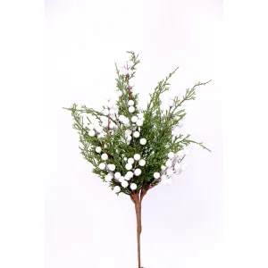 Winter Berries Pick 3