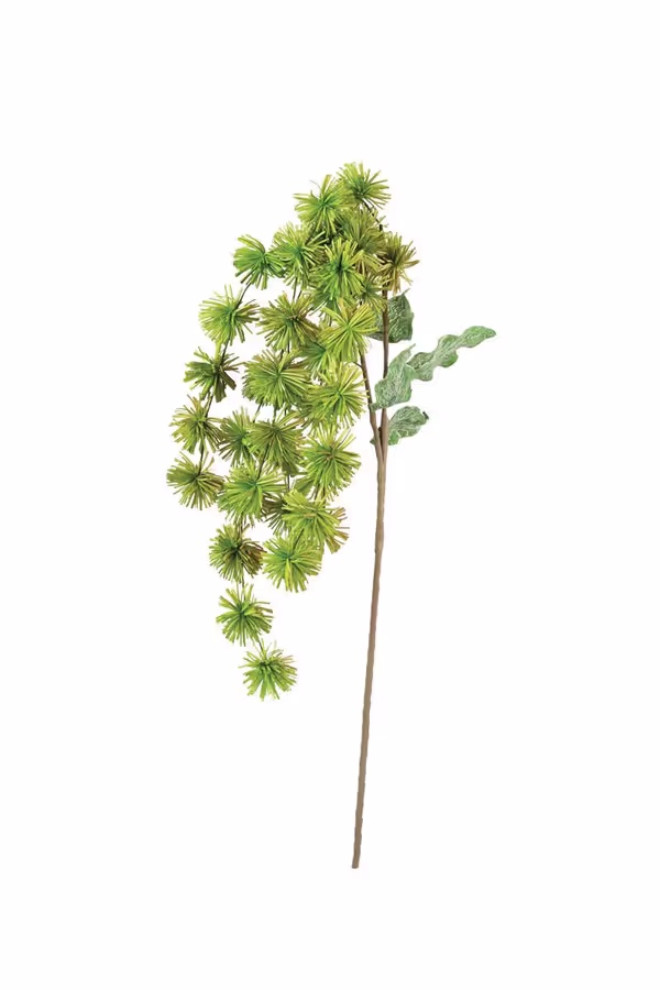 Botanica #3323