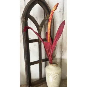 Red Palm Grass 1