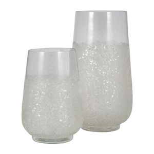 HANNAHMORE CLEAR GLASS VASE 10 (IN) 9