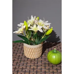 Grace in Bloom Pot 10in 2