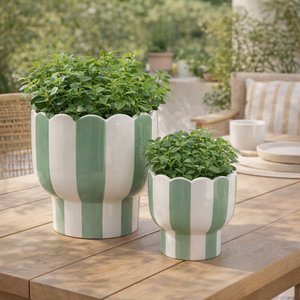 HARDYGROVE SET OF 2 GREEN PLANTER 7 (IN) 2
