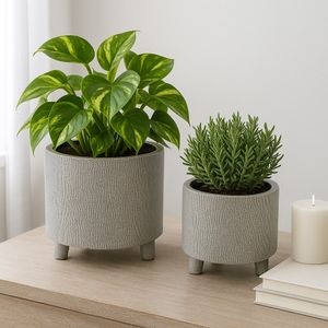 BRADY SET OF 2 SILVER PLANTER 6 (IN) 2