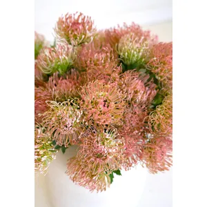 Artificial Antique Blush Pincushion Protea 4