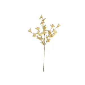 botanica #9038 5