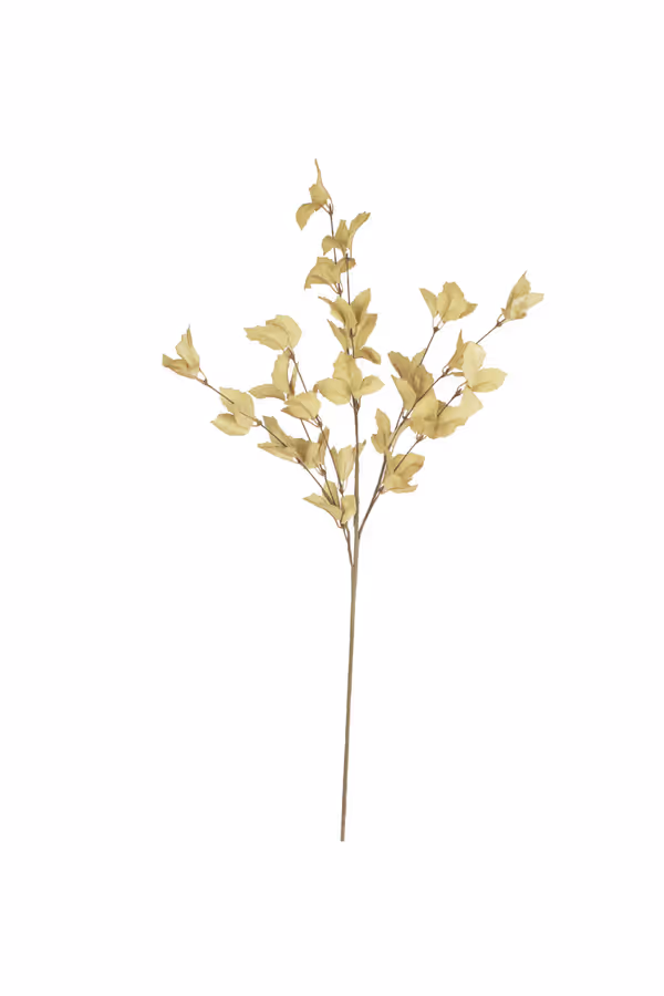 botanica #9038