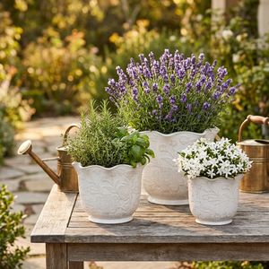 CLAYBROOK SET OF 3 IVORY PLANTER 9 (IN) 11