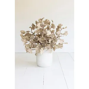 Botanica #3558 2