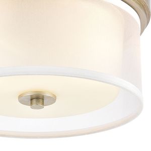 Diffusion 13'' Wide 2-Light Flush Mount - Aged Silver 4