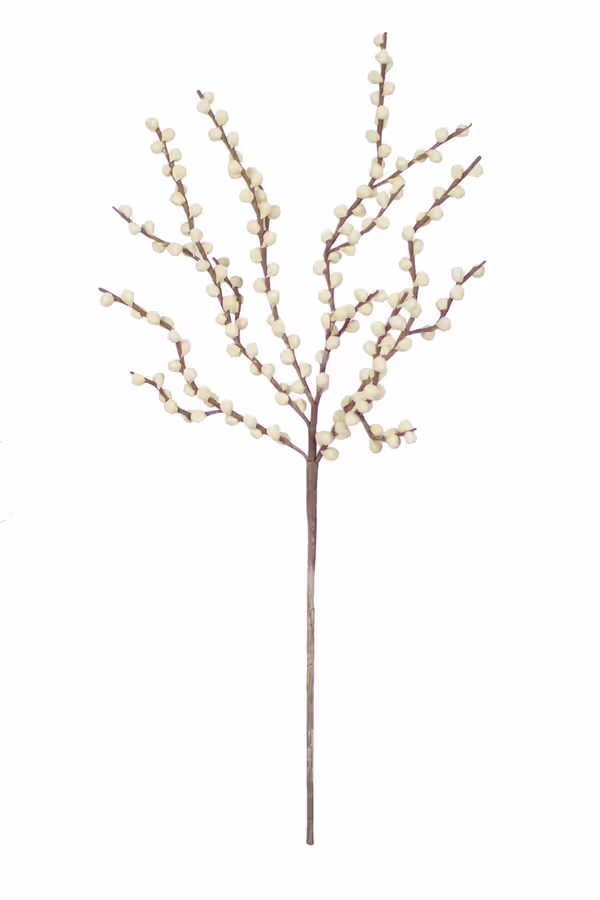 Botanica #2290